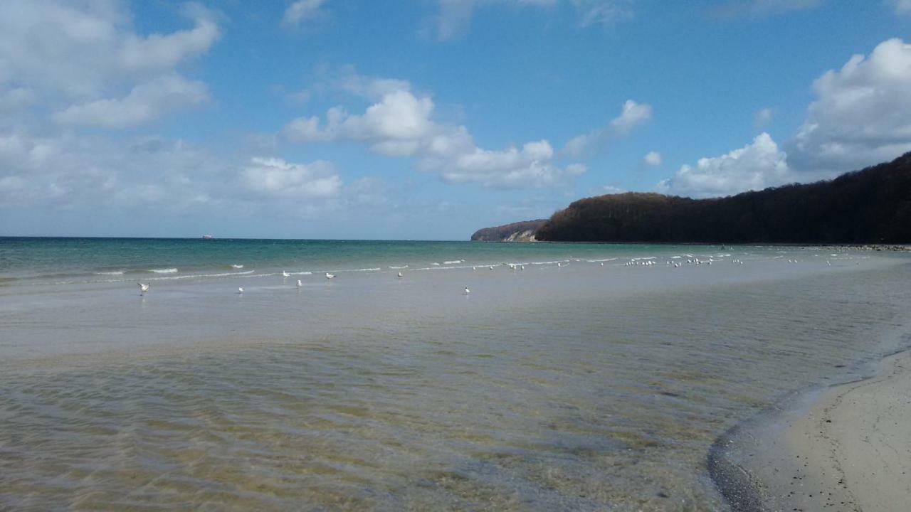 Seemuschel
