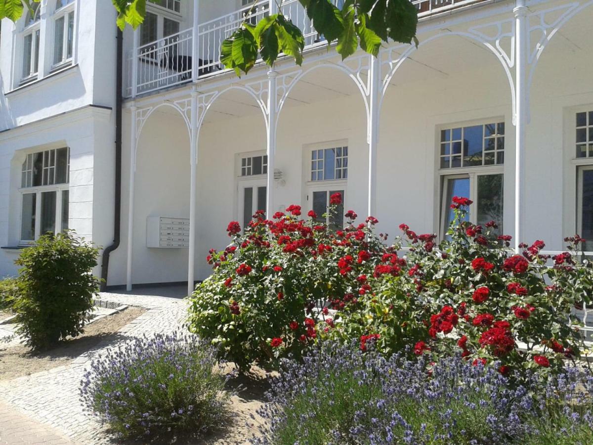 Apartment Seemuschel *